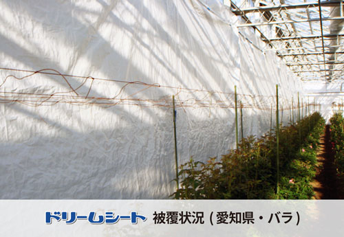 ドリームシート　愛知県バラ栽培ハウスの被覆状況　約20％の燃料節約　ハウスサイド部分への採用事例