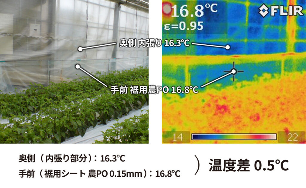 ドリームシート　愛知県大葉栽培ハウスで農POフィルムとの保温性検証1