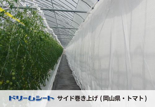 ドリームシート　岡山県トマトの被覆状況　サイド巻き上げ部分への採用事例