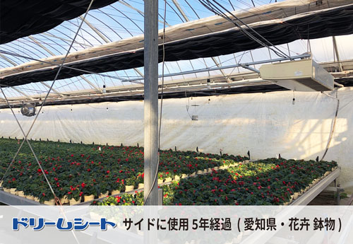ドリームシート　愛知県花卉鉢物ハウスでの被覆状況　サイドに５年経過した状態1