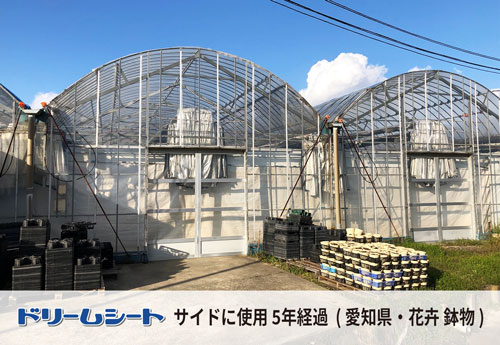 ドリームシート　愛知県花卉鉢物ハウスでの被覆状況　サイドに５年経過した状態2