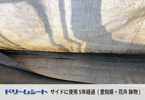 ドリームシート　愛知県花卉鉢物ハウスでの被覆状況　サイドに５年経過した状態3