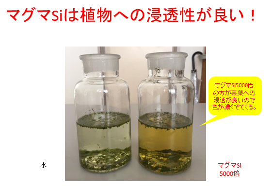 水溶性ケイ酸資材 マグマSi / 優れた浸透性