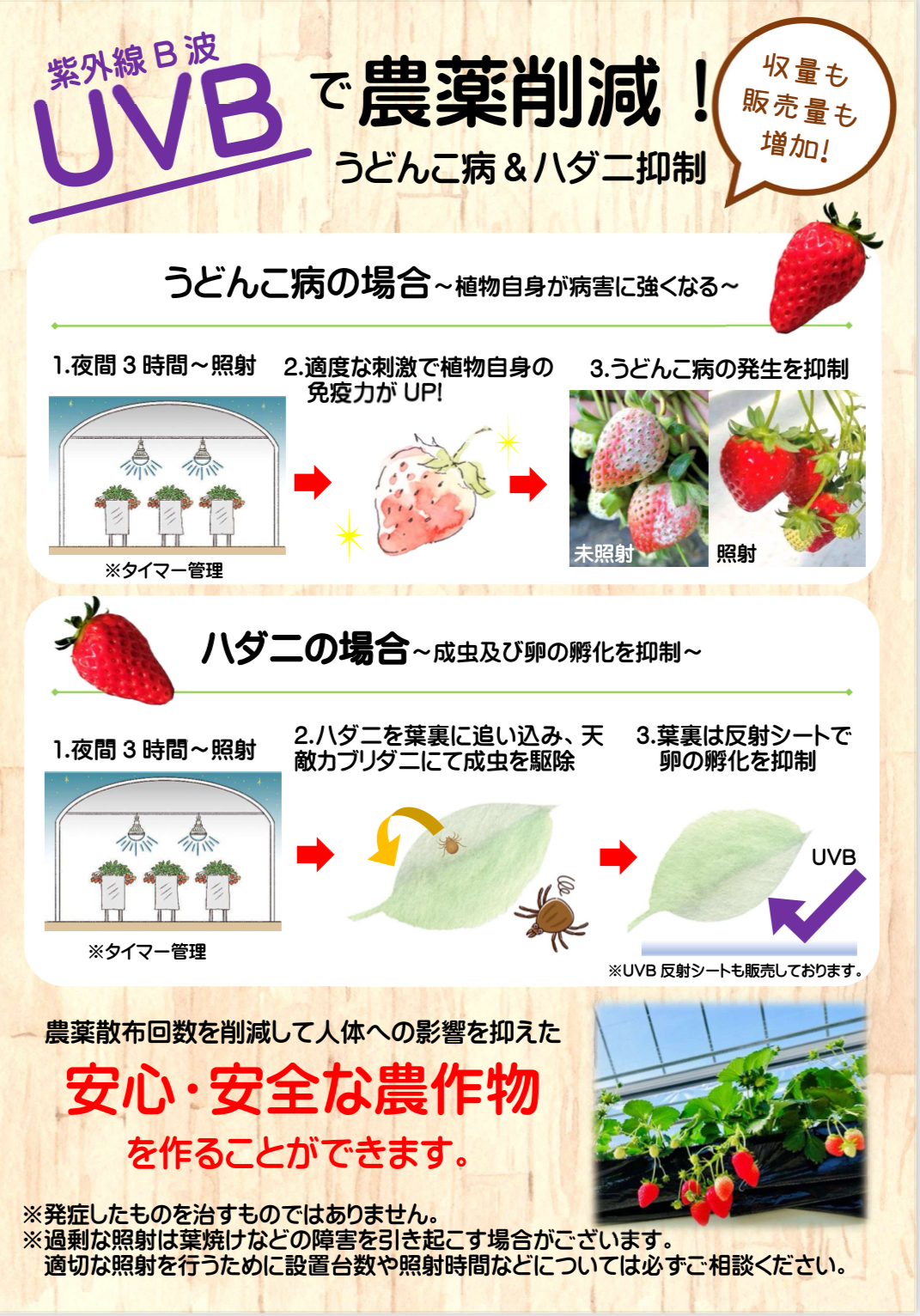 防除用 紫外線UV-B波長LED電球