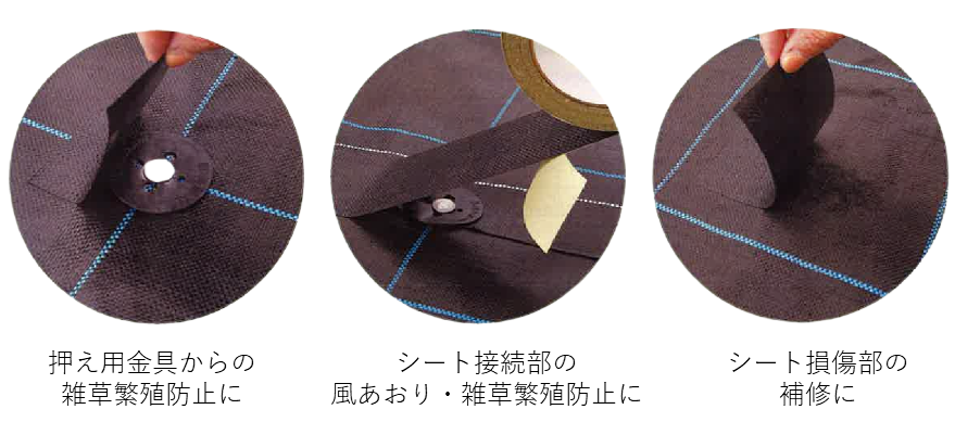 防草シート専用 アグリシートテープ / 使用例
