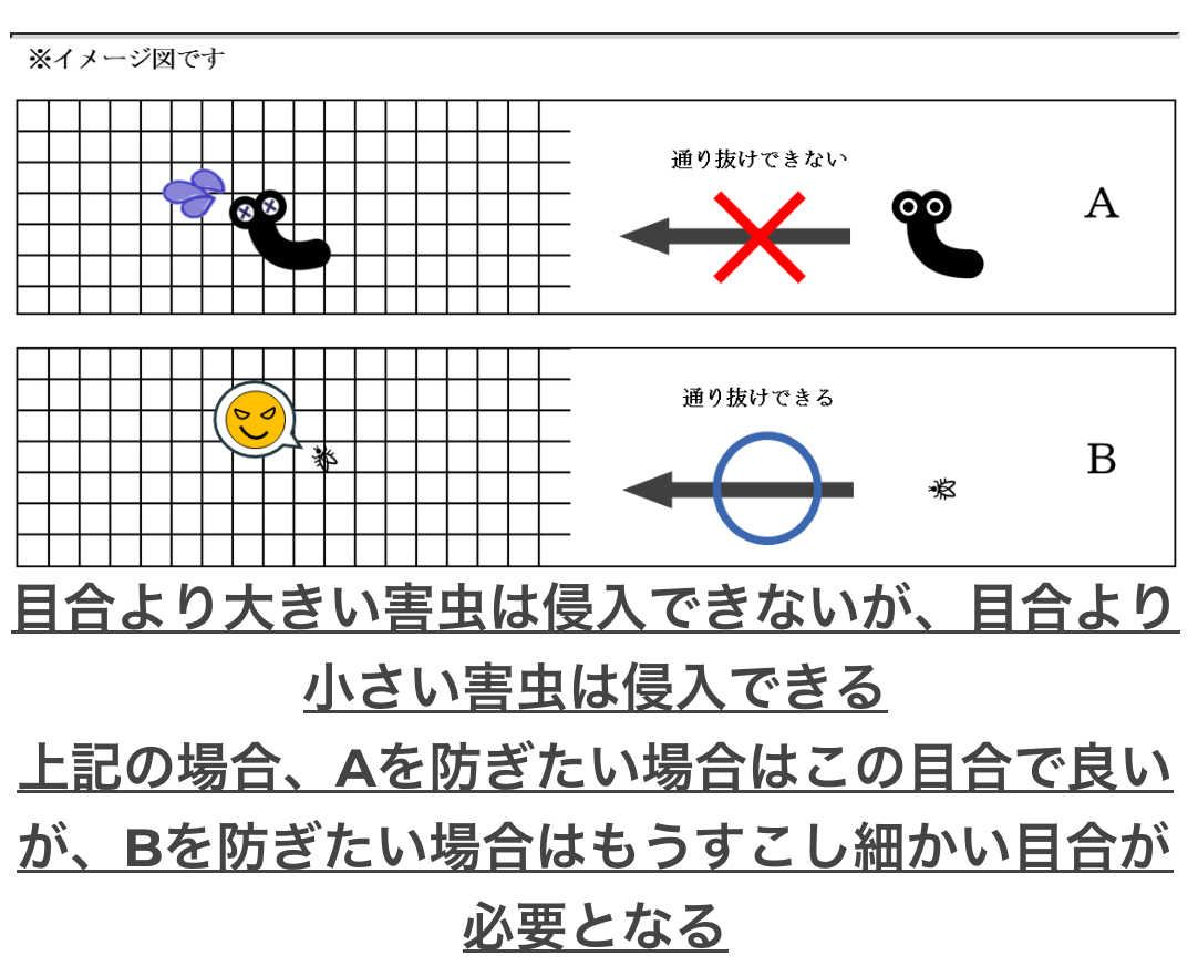 サンサンネット N-3800(2㎜x4㎜) / 害虫侵入イメージ