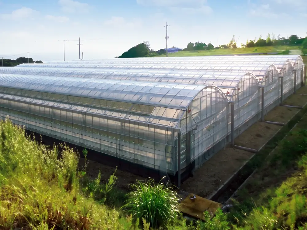花野果蒼天UVロング-住化積水フィルム株式会社