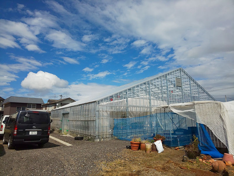 株式会社江口屋