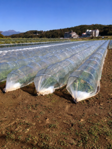 暖地郎-大倉工業株式会社