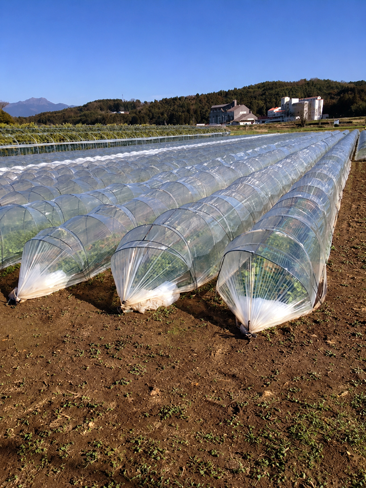 暖地郎-大倉工業株式会社