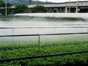 灌水パイプ UMシャワー