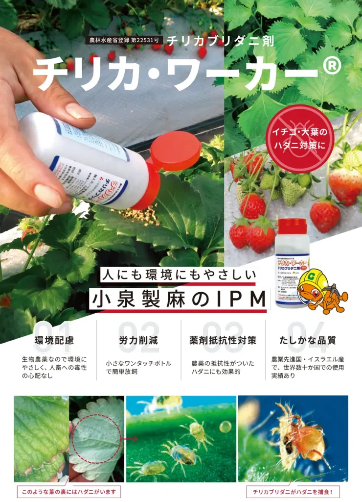 チリカワーカー